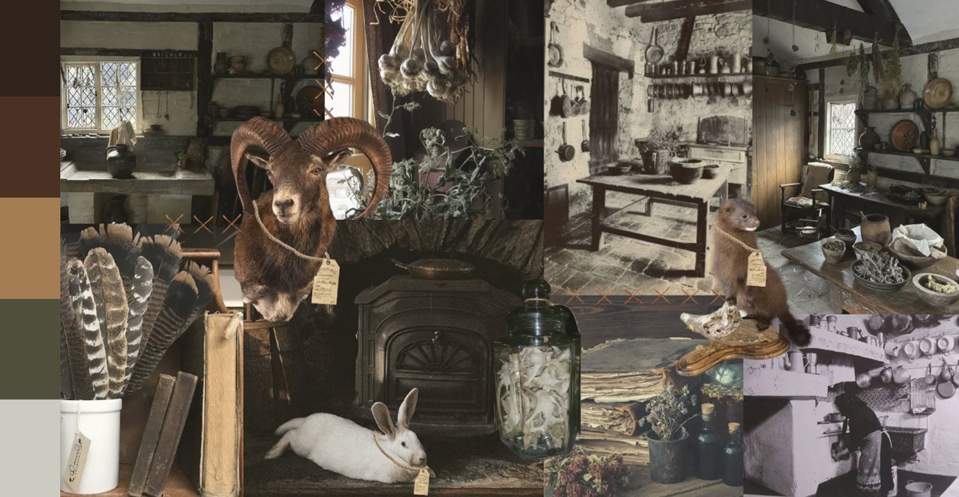 Moodboard com paleta de cor e referências de cozinhas rurais, animais embalsamados, penas e frascos